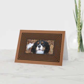Arrogante Koning Charles Spaniel in herfstbladeren Kaart