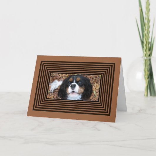 Arrogante Koning Charles Spaniel in herfstbladeren Kaart (Voorkant)