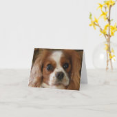 Arrogante Koning Charles Spaniel Kaart (Gele Bloem)