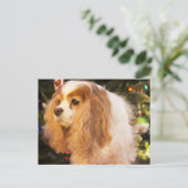 Arrogante Koning Charles Spaniel met Kerstboom Feestdagenkaart (Staand voorkant)