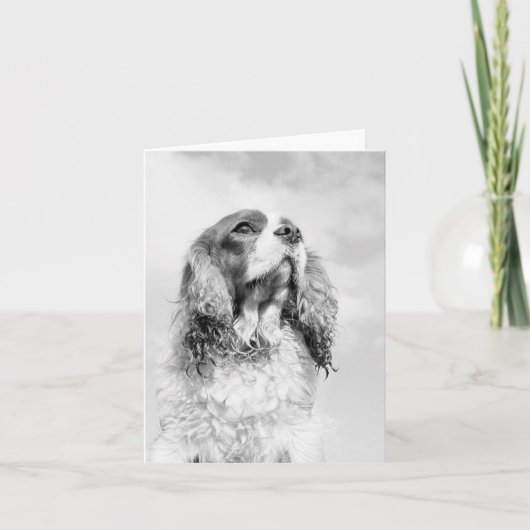 Arrogante Koning Charles Spaniel op leeg notecard Kaart (Voorkant)