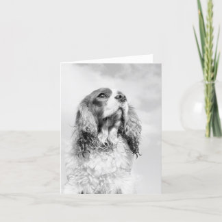Arrogante Koning Charles Spaniel op leeg notecard Kaart