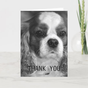 Arrogante Koning Charles Spaniel Thank You Card Bedankkaart
