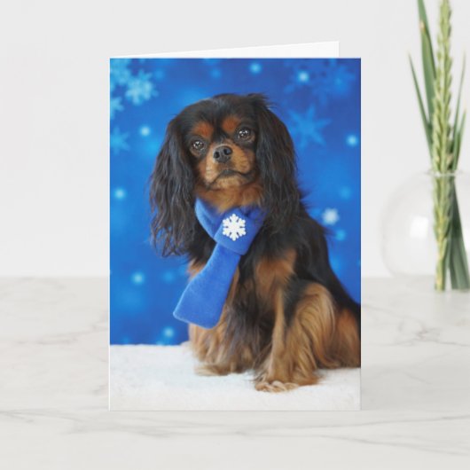 Arrogante vakantie feestdagen kaart (Voorkant)