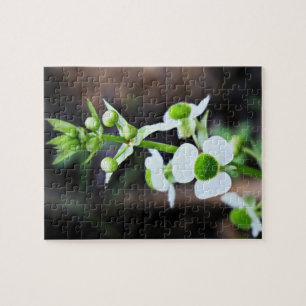 Arrowhead Witte Bloem Natuur Kunst Legpuzzel