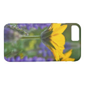 Arrowleaf Balsam Root en Lupine in Spring Bloom Case-Mate iPhone Case (Achterkant (Horizontaal))