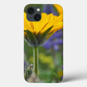 Arrowleaf Balsam Root en Lupine in Spring Bloom Case-Mate iPhone Case