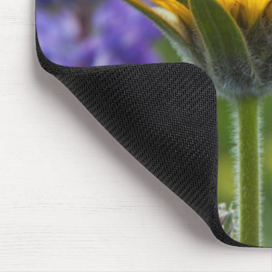 Arrowleaf Balsam Root en Lupine in Spring Bloom Muismat (Hoek)