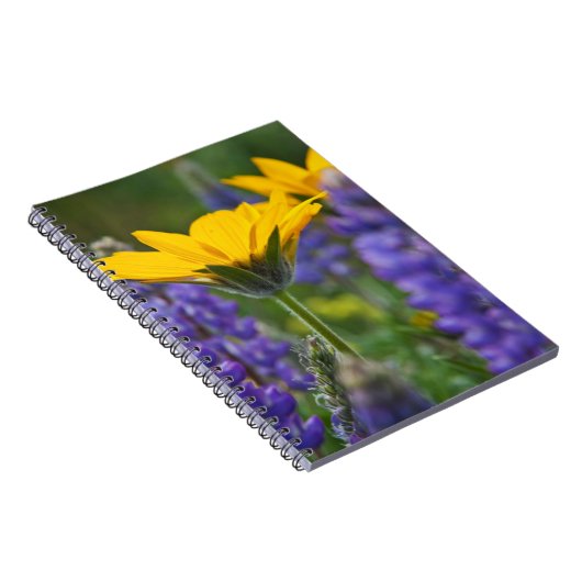 Arrowleaf Balsam Root en Lupine in Spring Bloom Notitieboek (Rechterzijde)