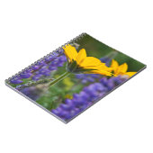 Arrowleaf Balsam Root en Lupine in Spring Bloom Notitieboek (Linkerzijde)