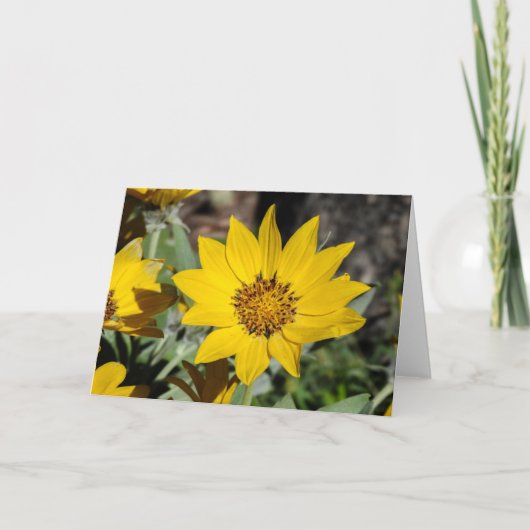 Arrowleaf Balsamroot Notecard Kaart (Voorkant)