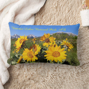 Arrowleaf Balsamroot Wildflower Lumbar Pillow Kussen