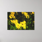 Arrowleaf Balsamroot Yellow Wildflower Abstract Canvas Afdruk (Voorkant)
