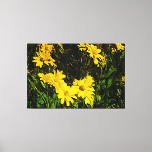Arrowleaf Balsamroot Yellow Wildflower Abstract Canvas Afdruk