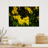 Arrowleaf Balsamroot Yellow Wildflower Abstract Poster (Keuken)