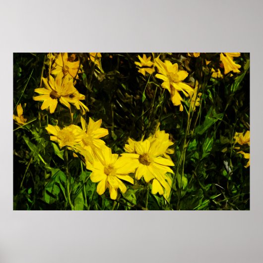 Arrowleaf Balsamroot Yellow Wildflower Abstract Poster (Voorkant)