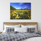Arrowleaf balsomroot bedekt de prairie met canvas afdruk (Insitu (Slaapkamer))