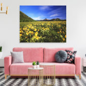 Arrowleaf balsomroot bedekt de prairie met canvas afdruk (Insitu (Woonkamer))