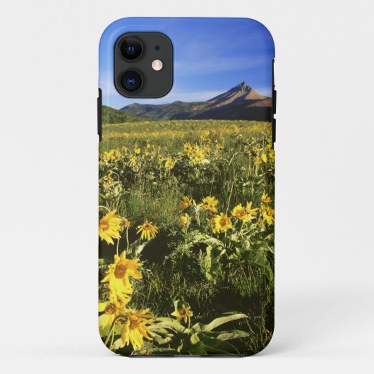 Arrowleaf balsomroot bedekt de prairie met Case-Mate iPhone case (Achterkant)