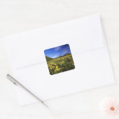 Arrowleaf balsomroot bedekt de prairie met vierkante sticker (Envelop)