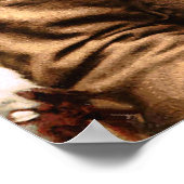 Arrowmaker, een Ojibwa dappere, 1903 Poster (Hoek)