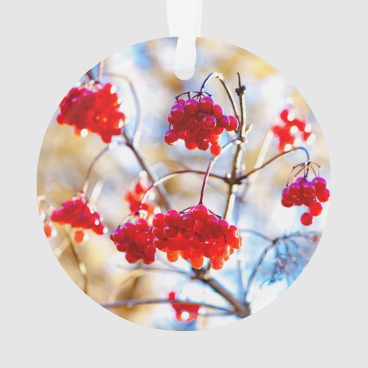Arrowwood Berries Ornament (achterkant)
