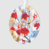 Arrowwood Berries Ornament (voorkant)