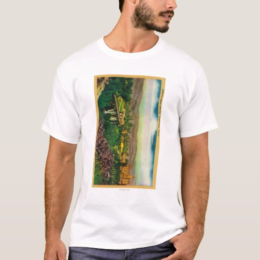 Arroyo Seco BridgePasadena, CA T-shirt (Voorkant)