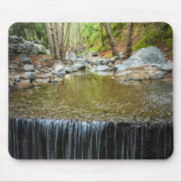 Arroyo-stroom Muismat