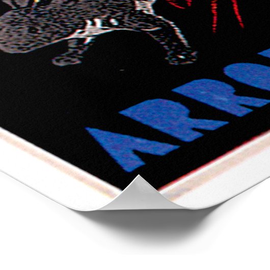 Arroz Granito  Food and Art Poster (Hoek)