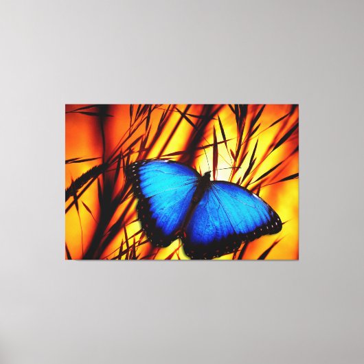 Art 39-opties voor vlinder canvas afdruk (Voorkant)