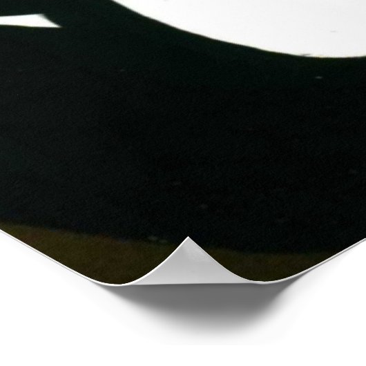  Art Bally Shoes Villemot Poster Print (Hoek)