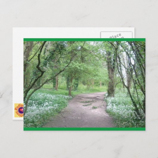 Art Briefkaart Woodland Path 1 (Voorkant / Achterkant)