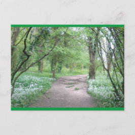 Art Briefkaart Woodland Path 1