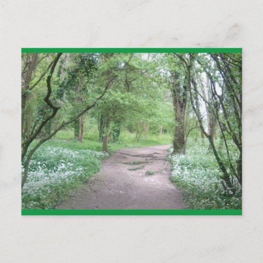Art Briefkaart Woodland Path 1 (Voorkant)