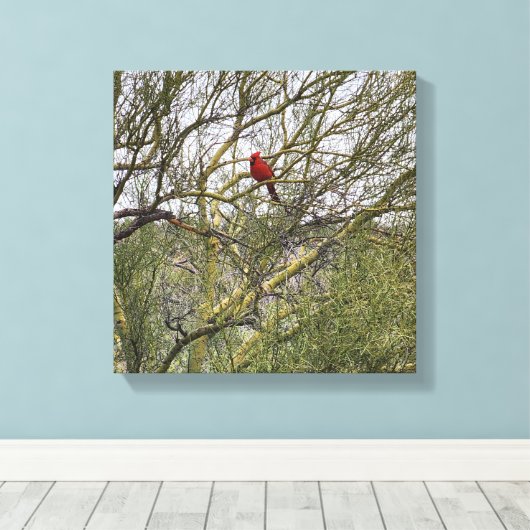 Art Canvas Kardinaal (Insitu (Houten vloer))