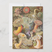 Art Deco Art Nouveau Gestreept Goudkleurig Modern Kaart (Achterkant)