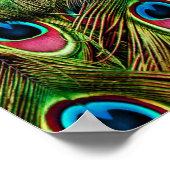 art deco blauwgroen groen turquoise pauock vether poster (Hoek)