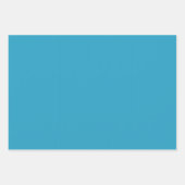 Art Deco Boston Swan Boats Inpakpapier Vel (Voorkant 2)