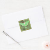Art Deco Groene Luna Moth  Vierkante Sticker (Envelop)