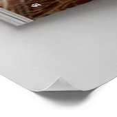 Art Deco Opulence Geometric Patterns IIHER_XHU_001 Poster (Hoek)