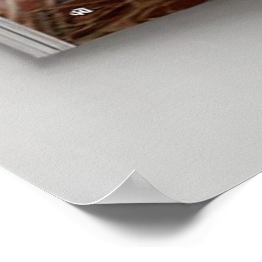 Art Deco Opulence Geometric Patterns IIHER_XHU_001 Poster (Hoek)