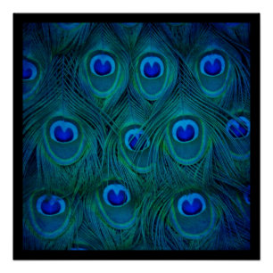 Art Deco Parijse Blauwgroen Groene Pauw Veer Poster