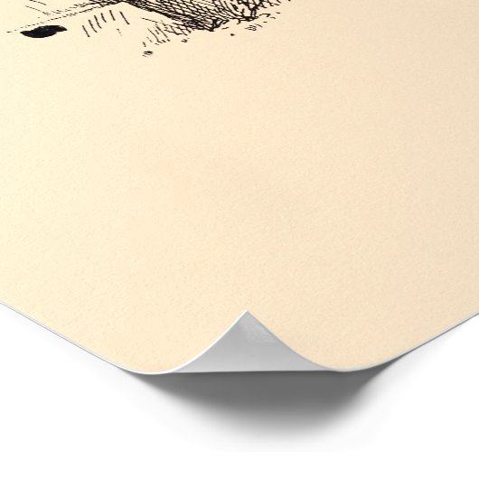 Art Deco Paul Poiret-jurken van Paul Iribe Poster (Hoek)