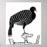 Art Deco Pauwie Bird Animal Illustration Poster<br><div class="desc">Art Deco Pauwie Bird animal wildlife Black and white Illustration poster</div>