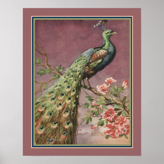 Art Deco Peacock uit 1920 van Carlo Chiostri Poster (Voorkant)