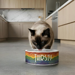 Art Deco Pride Flag | Rainbow Ceramic Pet Bowl Voerbakje