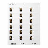 Art Deco Witch Jack O Lantern Pumpkin Black Cat Etiket (Full Sheet)