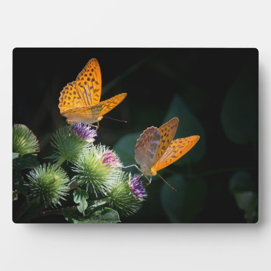 Art Decor Plaque-Butterflies Plaque Fotoplaat (voorkant)