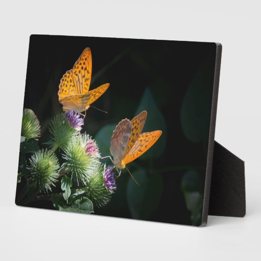 Art Decor Plaque-Butterflies Plaque Fotoplaat (Zijkant)